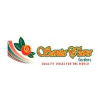 Santa Clara logo